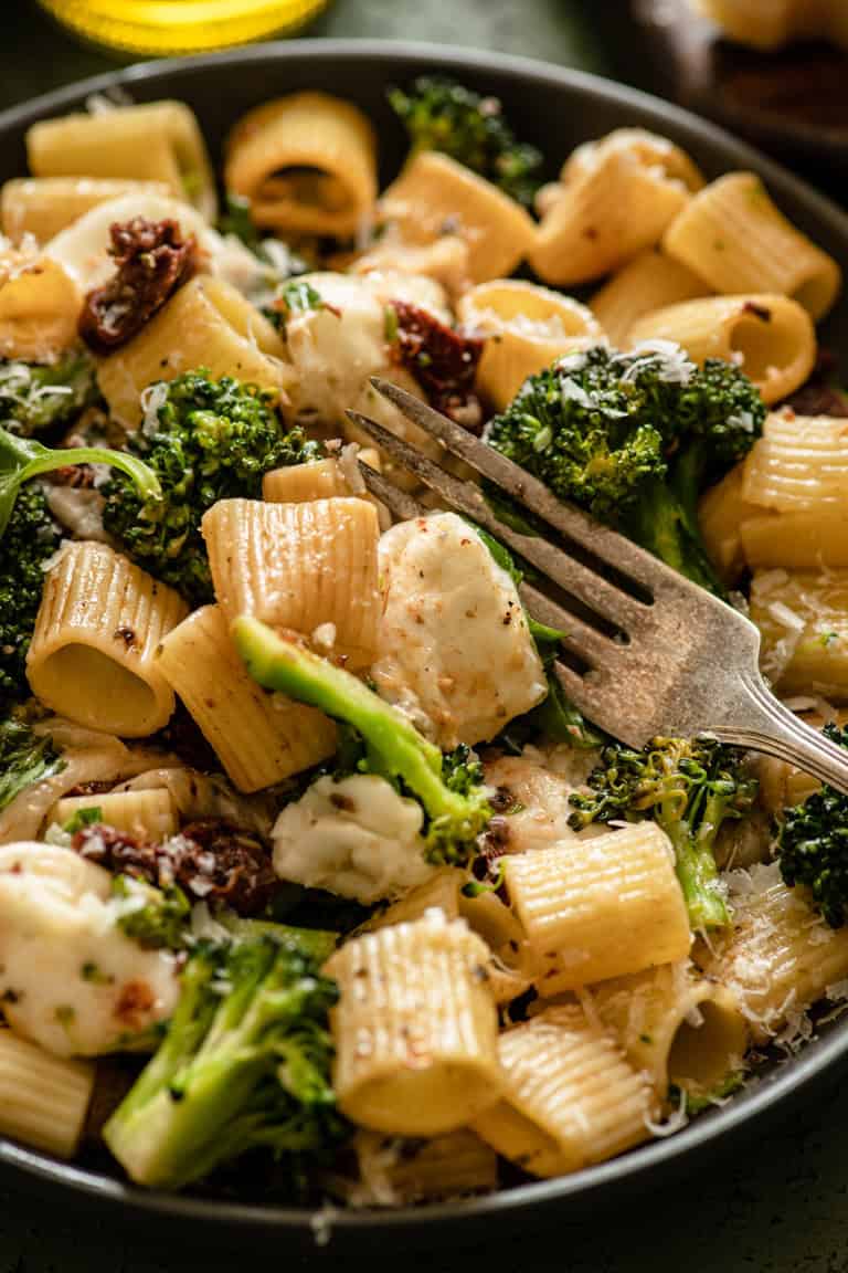 Rigatoni Pasta with Broccoli and Sun Dried Tomatoes - Spoonful of Plants